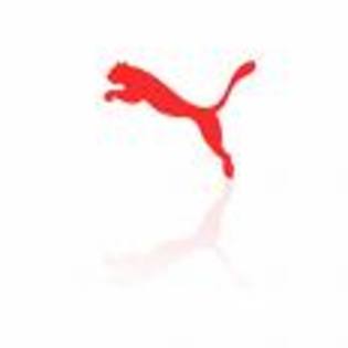 image PUMA - albummmmm