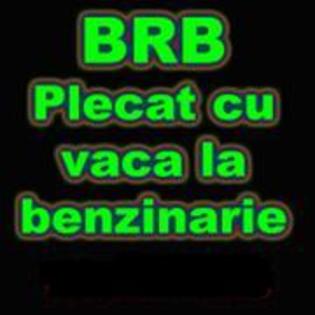 BRB%20Pkecat%20cu%20vaca%20la%20benzinarie