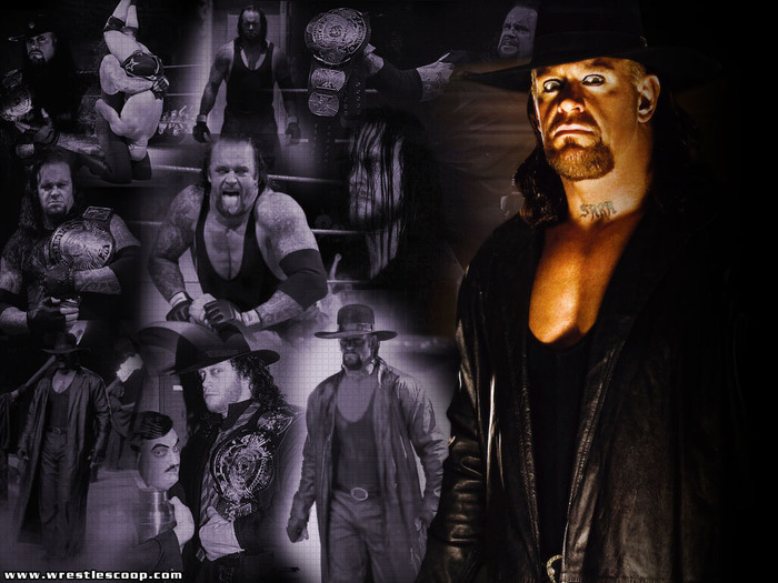 3 - undertaker