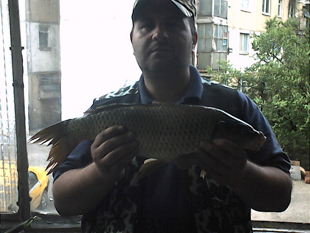 captura - la pescuit 2010