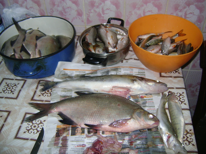 captura de peste - la pescuit 2010