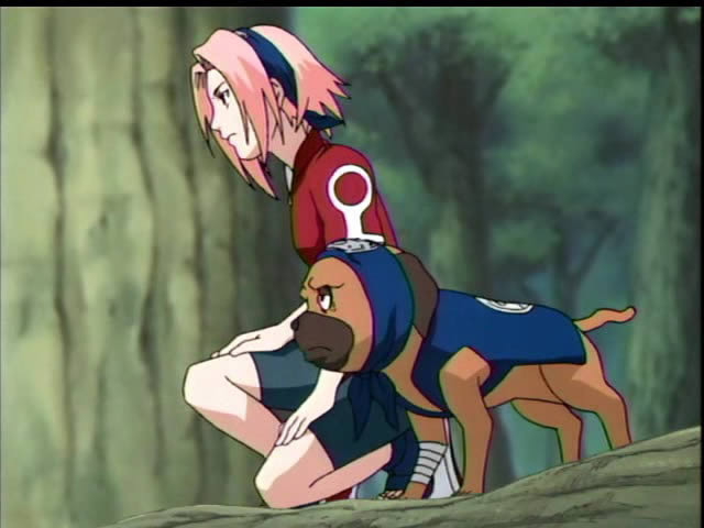 naruto_sakura0174 - Sakura in Naruto