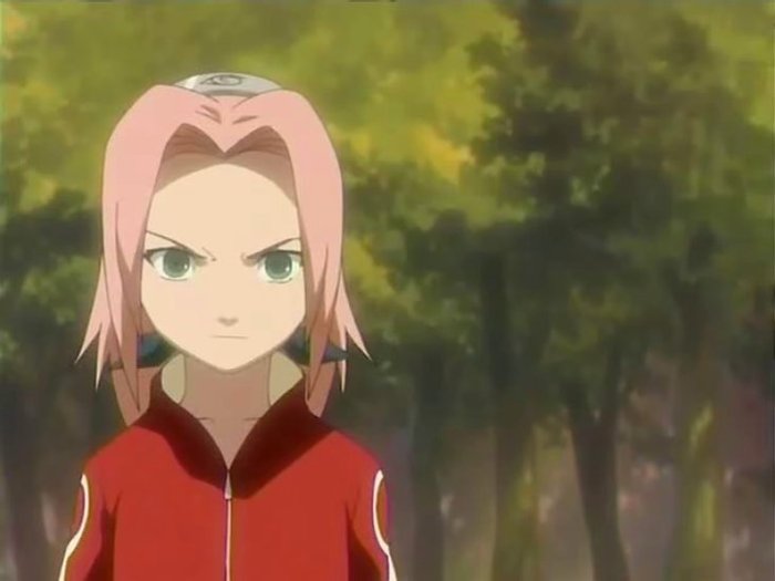 naruto_sakura0428
