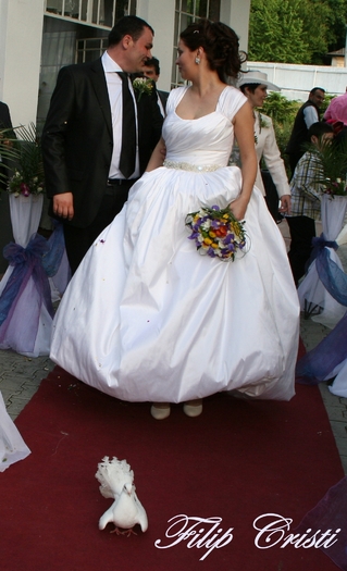 IMG_21 - Porumbeii  nunti