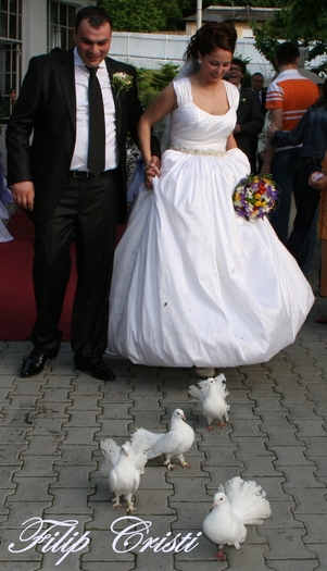 IMG_2183 - Porumbeii  nunti