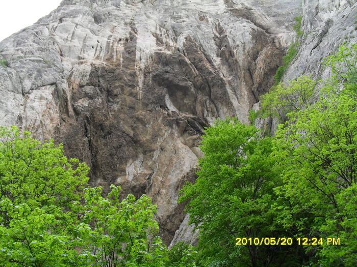 SDC11755
