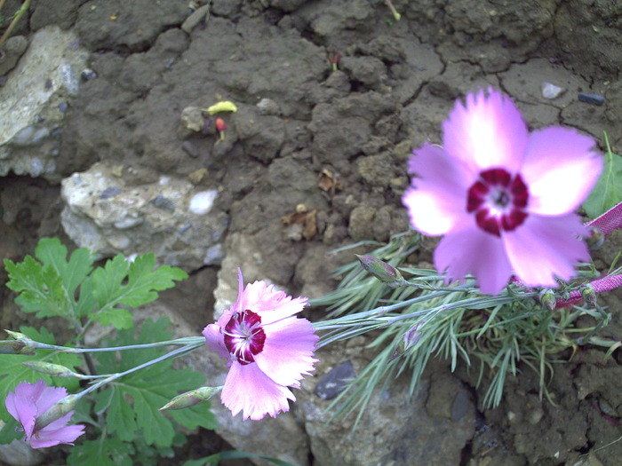 PICT0038