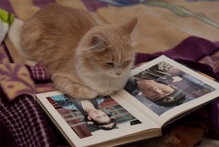 29f66WNGHqEgH0AJMZBpIA[1] - Poze modificate