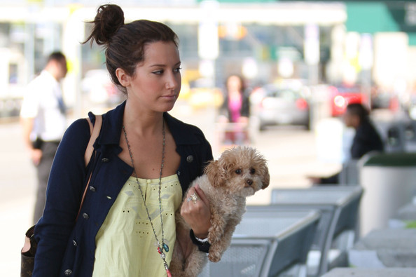 Tisdale+wraps+up+9pFrrvsqsMil - Ashley Tisdale