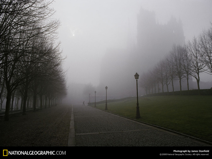 Cathedral of Notre Dame, Amiens, France
