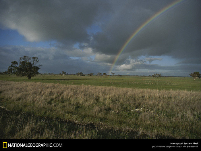 kangaroo-island-76969-lw[1]
