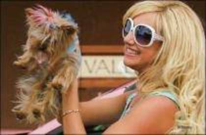 DUXYKGRACLVEFBWDHHI - Ashley Tisdale in rolul SHARPAY EVANS