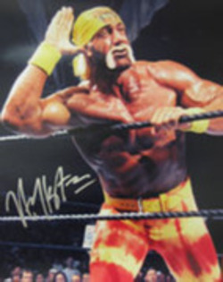 10340328_AHVYSLSSB - autografe wwe