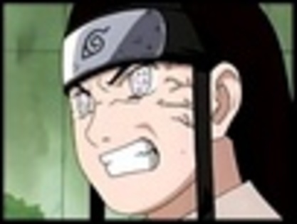 image008 - neji