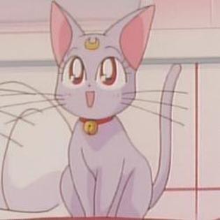 Sailor_Moon_1254789018_1_1995