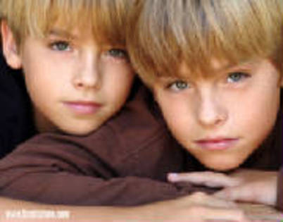 5258_dylan%20and%20cole%20heads