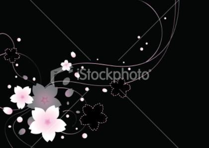 ist2_1077788-graphic-background-collection-vol-21 - poze cherry blossom