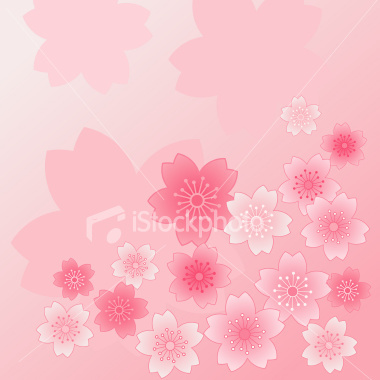 ist2_1353066-cherry-blossoms - poze cherry blossom