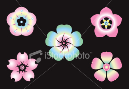 ist2_5433846-colorful-sakura-flower - poze cherry blossom