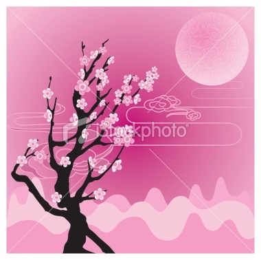 ist2_7218482-sakura-cherry-blossom - poze cherry blossom