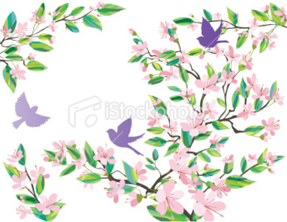 ist2_9489258-retro-leaves-and-sparrows - poze cherry blossom