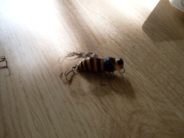 SDC10341; tot bondarelu de 3,5 cm
