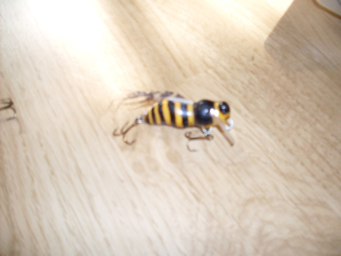 SDC10342; nu se vedea prea bine
