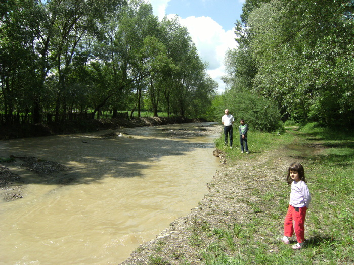 24 mai 058 - la ocea