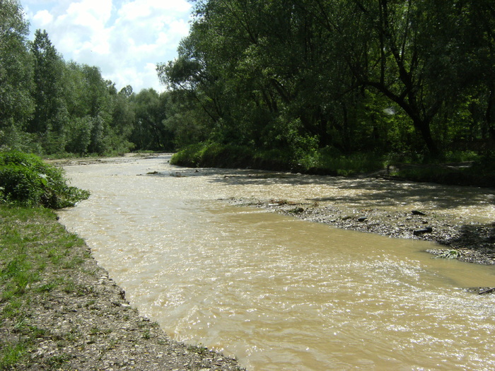 24 mai 060 - la ocea
