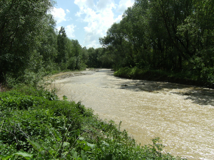 24 mai 065 - la ocea