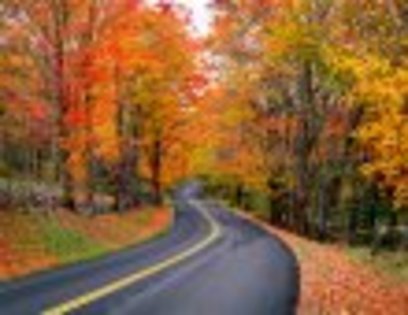 Autumn_Road_L - poze cu anotimpul toamna