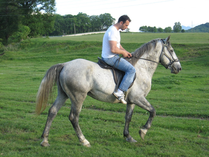IMG_7306 - ECHITATIE 2008-2009