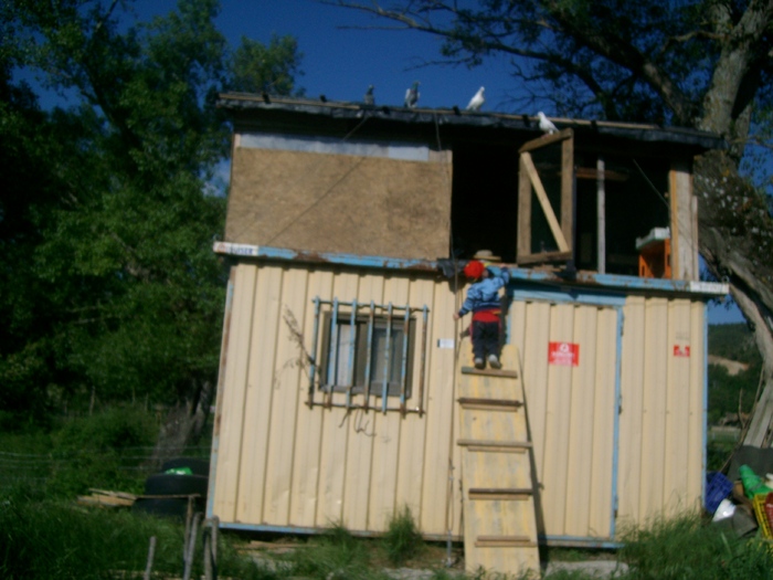 am ajuns la voiiiiiii ce faceti?