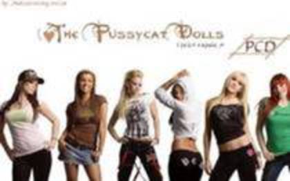 13626340_RTRCDGDQN - XxX Pussycat Dolls XxX