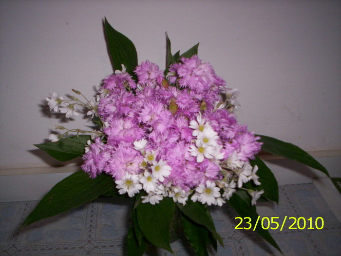 026 - buchete cu flori din gradina mea