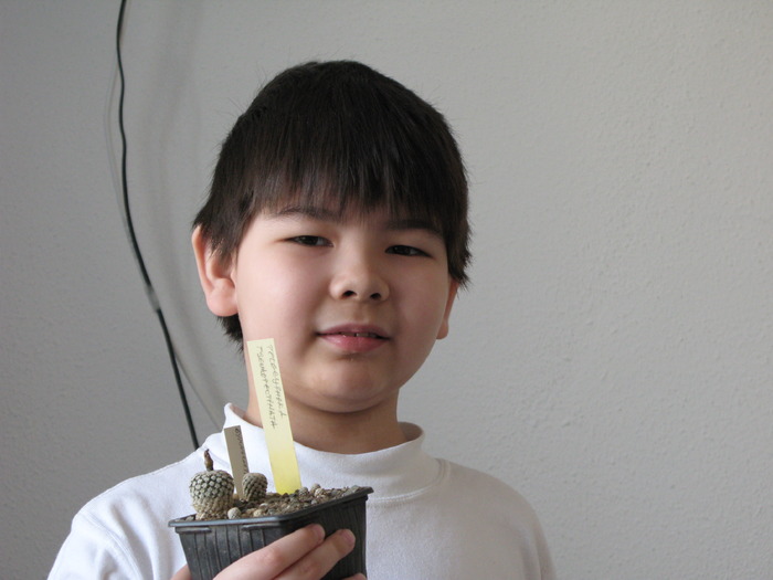 IMG_9144 - CACTACEAE - diverse specii si genuri