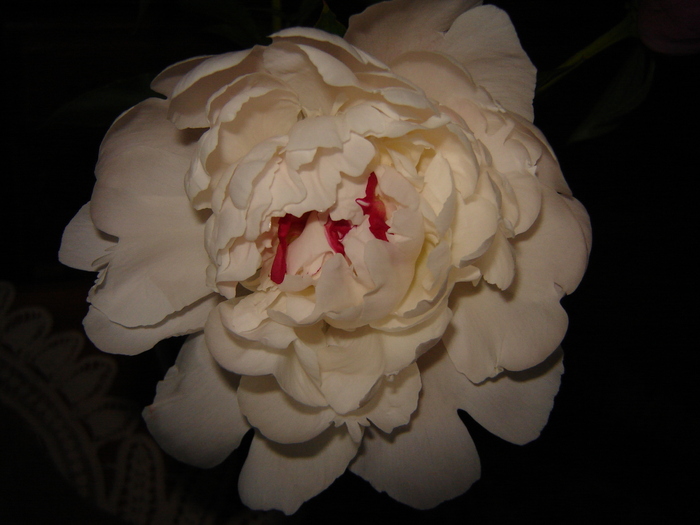 DSC02940