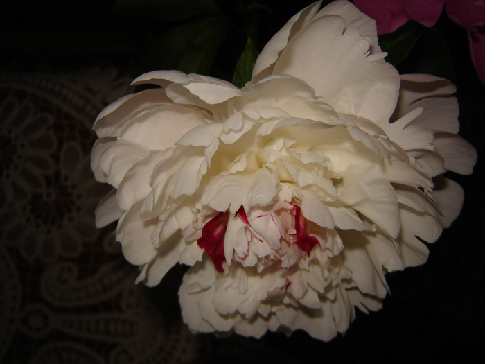 DSC02949