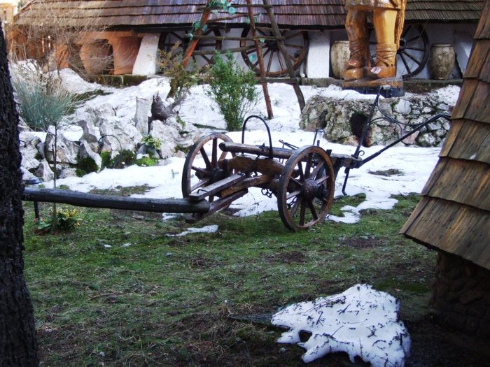 2010 02 Poiana BV (amfostacolo) 122
