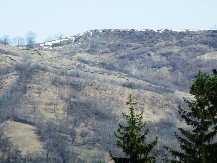 2010 03 20 Grota Miresii si Vulcanii 035 - 2010 03 Grota Miresii