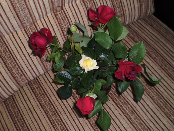 P3150127 - FLORI