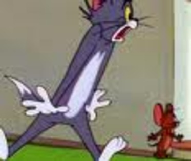 O,NU!E CAINELE!!!!!!!!!!!!!! - Tom si Jerry un clasic fara varsta