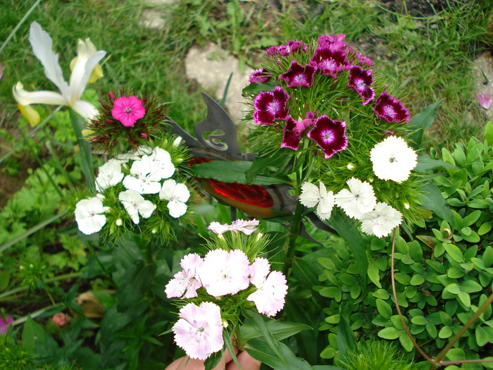 DSC04558