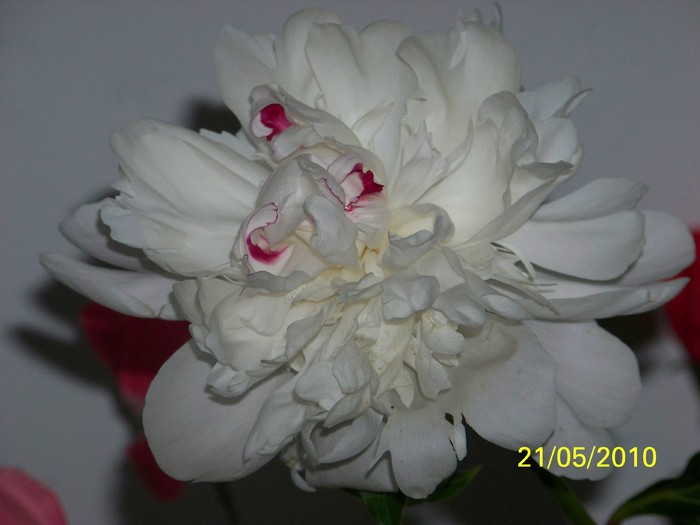 100_8955 - 23 26 Mai 2010