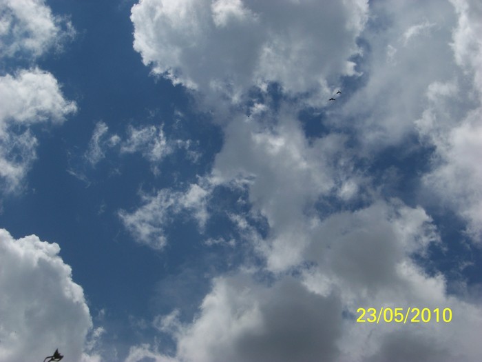 100_9199 - 23 26 Mai 2010