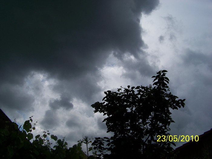 100_9204 - 23 26 Mai 2010