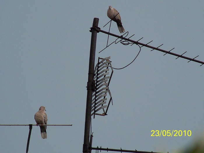 100_9270 - 23 26 Mai 2010