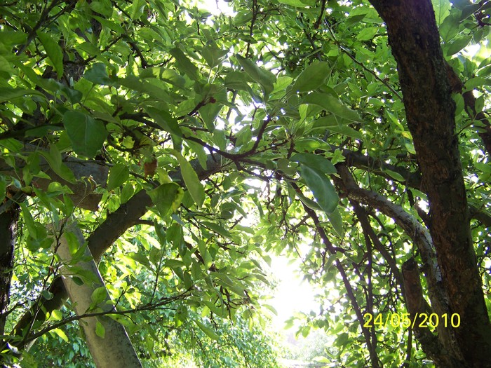 100_9571