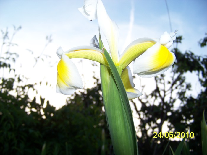 100_9627 - 23 26 Mai 2010