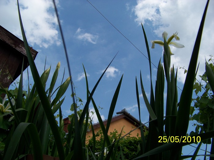 100_9786 - 23 26 Mai 2010